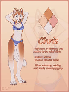 Mini Refsheet ($100 total)